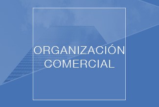 CASOS_ÉXITO_TXT_ORGANIZACION