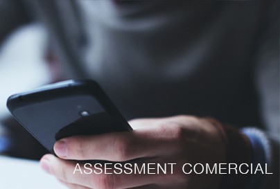 assessment